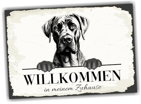 siviwonder Hundeschild Willkommen Zuhause Dogge deutsche No.1 Dog Schild Spruch Türschild Warnschild Geschenkidee schöner Spruch Hundemotiv Aluminium Wetterfestes Hundeschild