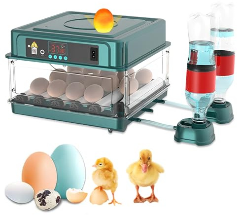 Brutautomat Vollautomatisch, Inkubator 12-16 Eier, mit Automatischem Wenden der Eier, Automatischer Befeuchtung, Brutmaschine Vollautomatisch mit Feuchtigkeitsanzeige, für Hühnereier Wachtel Enteneier