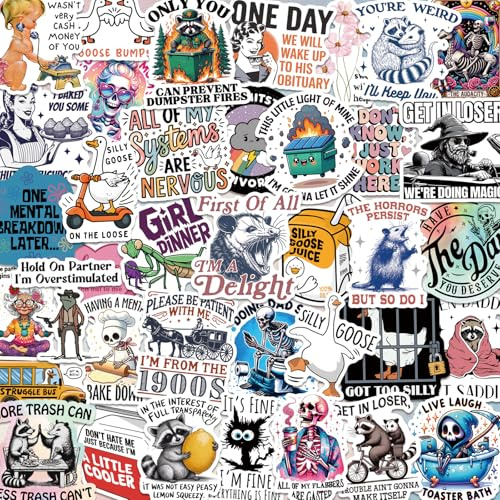 200 Stück Witzige Holografische Aufkleber Erwachsene, Wasserdichte Vinyl Meme Decals für Laptop Flasche Handy Skateboard Gepäck