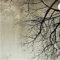 YiShuQiang Wallpaper Fototapeten Benutzerdefinierte 3D Fototapete Kreative Abstrakte Wohnkultur Nordischen Stil Baum Zweige Himmel Papel De Parede Desktop Wandbild Tapete,400 * 280cm(WXH)