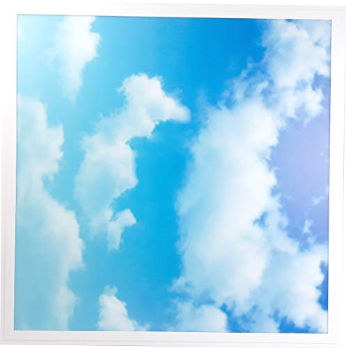 12x48W Sky Cloud Pattern LED Flat Slim Panel Light Ceiling Lamp 600x600 mm + Drive