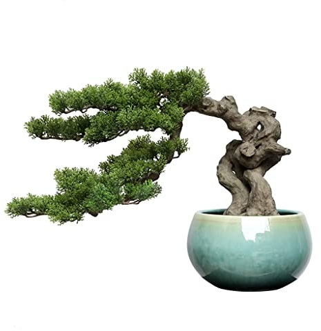 Simulation von Topfpflanzen, Bonsai-Baum, Simulation von Bonsai, Thuja-Kiefer, einladende Kiefer, Bonsai, grüne Pflanze für Zuhause (grün, 55 x 40 cm)