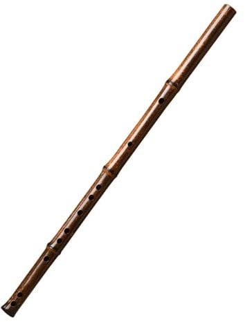 Bambusflöte Profiinstrument Einsteiger Querflöte(E)