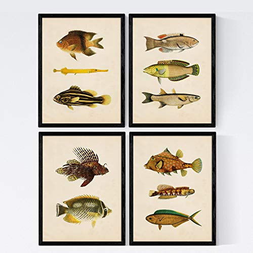 Nacnic Set 4 Blatt Fisch Jahrgang bunten Effekt. Ostsee. Zusammensetzung von 11 verschiedenen Fischen im A4-Format, Jahrgang Hintergrund Altpapier Poster Papier 250 gr hohe Qualität. Frameless