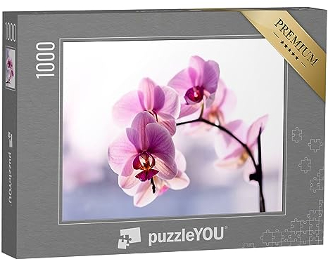 puzzleYOU: Puzzle 1000 Teile „Wunderschöne zarte Orchidee in Rosa“ – aus der Puzzle-Kollektion Orchideen