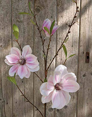 artplants.de Magnolienzweig künstlich FINAH, rosa, 80cm - Deko Magnolie/Magnolie Kunstblume