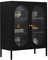 LINGZOE Black Storage Cabinet with Steel Frame and 2 Glass Door, Home Locker Sideboard Cabinet Organizer for Books, Magazines, DVDs Storage Shelf