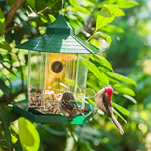 QTANZIQI Wireless Bird Feeder Camera - Full HD 1080p Night Vision, WiFi Connectivity to Smartphone for Outdoor Bird Watching and Photography by Bird Enthusiasts