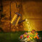 Lureshine Regadera solar LED para jardín, cascada, exterior, resistente al agua, de metal, para decoración de jardín, regadera solar con cadena de luces para exterior, césped, acera, terraza