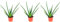 3er-Set Echte Aloe - echte Zimmerpflanze, Aloe vera - Höhe ca. 40 cm, Topf-Ø 12 cm