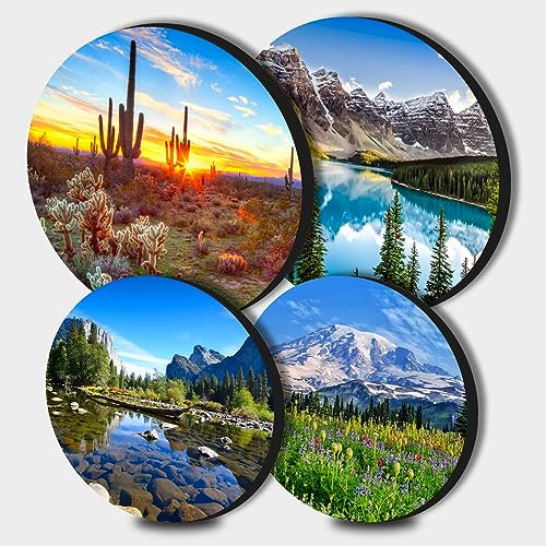 Saguaro Cacti Art Round Metal Hob Covers Set of 4 Stove Cooker Hob Covers for Cookers Gas Stove Protector Cookware Accessories Modern Cooktop Decor