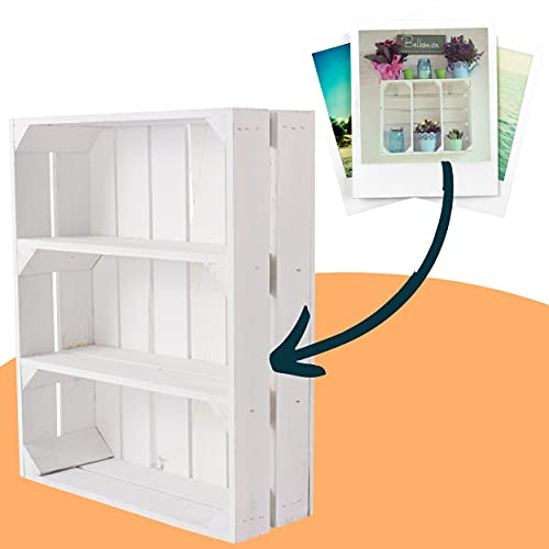 Obstkisten Online Neues Shabby chic Gewürzregal 50cm x 40cm x 16cm Küchenregal