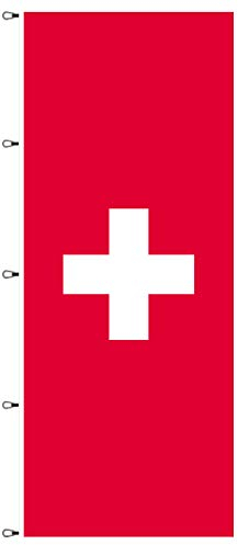 BGFint Bandera de Suiza 120 x 300 cm, bandera nacional de Suiza, 110 g/m², para mástil con brazo