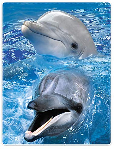 YISUMEI Decke 150x200cm Flauschige Kuscheldecke Weich Flanell Fleecedecke Delfin Kopf