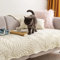 WYJHNLBEDC Sofa überwurfdecke, Sofaschutz Hund/Katze, Warmer Super Weicher Kurzer Plush Fleecedecke Sofa/Couch überzug/Sofabezug 1 2 3 Sitzer L Form U Form Ecksofa(45x45 Kissenbezug)