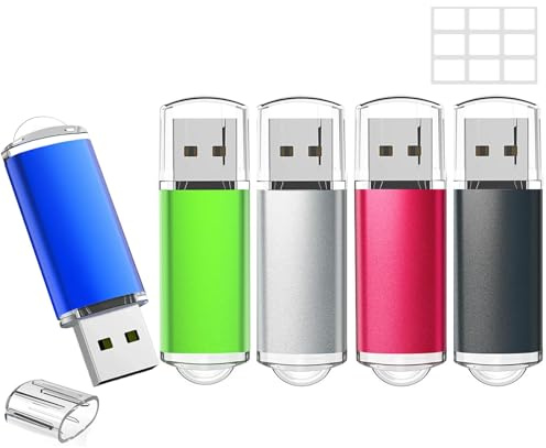 WISEORANGE 5 Pezzi 64GB Chiavetta USB 2.0 Pen Drive 64GB Metallo-5 colori | Pendrive Portatile per Archiviazione Dati, Pennetta USB 2.0 Unità Memoria Flash per PC, Laptop,TV con Luce LED