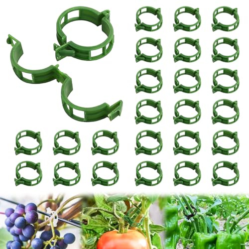 100 Stück Pflanzenclips Kunststoff Pflanzenklammern für Kletterpflanzen, 2025 Wiederverwendbare Pflanzenklammern für Tomaten, Trauben, Reben, Gurken, Gartenklammern Innen Außeneinsatz (100, Grün)
