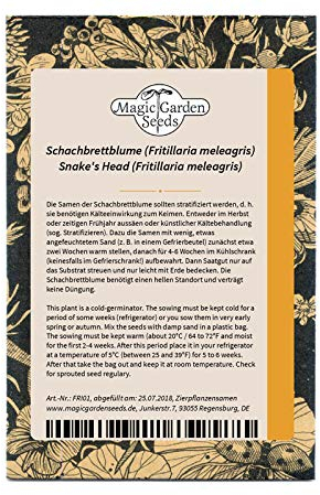 Schachbrettblume (Fritillaria meleagris) 20 Samen Kiebitzei, Schachblume, Kukuckstulpe
