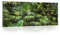 Glasbild Wald Dschungel Natur Pflanzen Landschaft 125x50 cm Modern Glasbilder Wohnzimmer Schlafzimmer Badezimmer Bilder auf Glas Bild groß XXL einteilig Querformat Wandbild Wandbilder Aufhängfertig