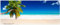 Wallario Glasbild Südseestrand in der Karibik mit Palme - 50 x 125 cm Wandbilder Glas in Premium-Qualität: Brillante Farben, freischwebende Optik