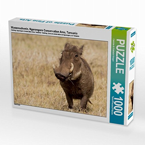 CALVENDO Puzzle Warzenschwein, Ngorongoro Conservation Area, Tansania 1000 Teile Lege-Größe 64 x 48 cm Foto-Puzzle Bild von Krueger Photography