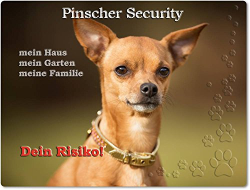 Merchandise for Fans Warnschild - Schild aus Aluminium - 20x30cm Motiv: Pinscher Security (01)