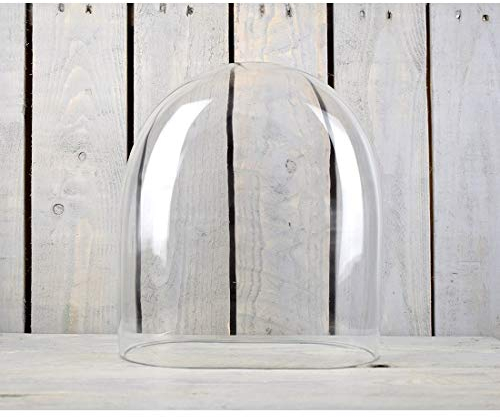 EMH Cloche de présentation Ovale en Verre soufflé à la Bouche Transparent 30 cm