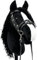 KHT ARIA SHOP Hobby Horsing, Plüsch-Pferd, Sportspielzeug, Hobby Horse, Trendsportart, Dressurübungen, Reiten ohne Pferd, Hobby Pferd aus Handarbeit, Größe DIN A3