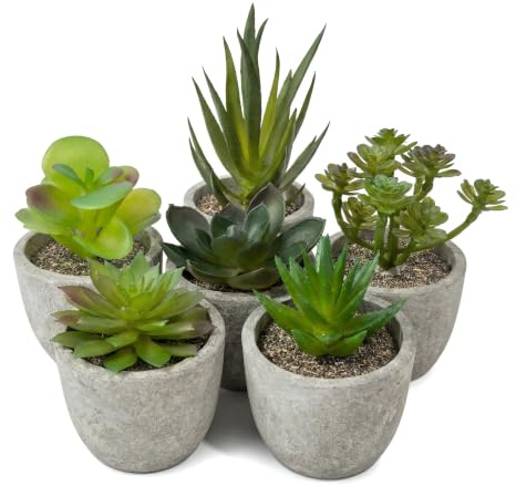 6 Pcs Plantes Artificielles Interieur Succulentes, Plastica Fausse Plante | Mini Succulentes Plante Artificielle avec Pot, pour les Mariages, Bureau, Cuisine et Salles de Bains, pour Amateurs de Deco