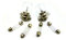 Glühlampen-Set, 6-teilig – 6 V Vespa 50N 50L 50R 50 Special