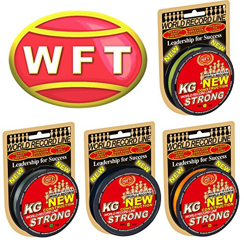 WFT KG Strong 300m 0,22mm 32kg, geflochtene Schnur, Meeresschnur, Angelschnur, Geflechtschnur, Farbe:Multicolor