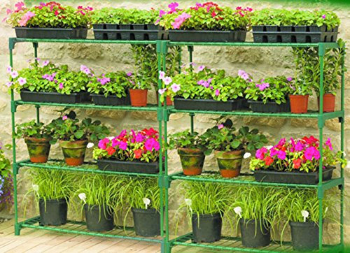 Panana 4 Tier Garden Greenhouse Steel Staging Shelving Plant Stand Garden Shelving Unit Garage Storage Racking, 4 Pack Plant Racks