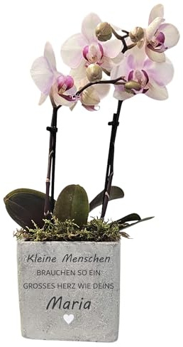 Abschiedsgeschenk Erzieherin personalisiert – Blumentopf klein mit Gravur & Herz – Geschenk Kita & Kindergarten Abschied (Erzieherin, 9.5 x 9.5 x 9.5 cm)