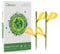 Garsum Plug-in Fliegenfalle Fruchtfliegenfalle Zimmerpflanze Mückenfalle Gegen Trauermücken, Fruchtfliege, Weiße Fliegen Gelb 2er Pack (42 Stück)