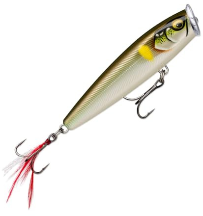 SKITTER POP ELITE SPE75 GDAY