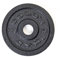 Gold's Gym Cast Iron Weight Plate - Black, 1.25 Kg