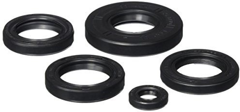 Winderosa 822251 Oil Seal Kit