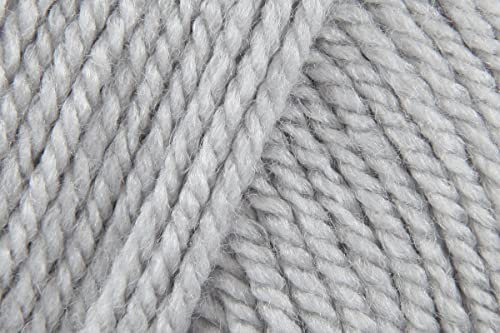 Stylecraft Spezial Aran Häkelgarn, Super Weiche 100% Acryl Häkeln Strickwolle für Decken Kissenbezüge - 100g Knäuel - Silber (1203) - 5 Stück