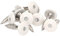 MEISTERLING® Lot de 100 vis de façade, en acier inoxydable V4A, 4,8 x 20 mm, tête plate Torx T20, blanches + 1 embout