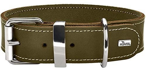 Hunter Hundehalsband Aalborg Special, Farbe: olivgrün, stark gefettetes Leder, robust & strapazierfähig, kontrastierende Ziernähte, ideal für Hundesport, Made in Germany, Größe: 75