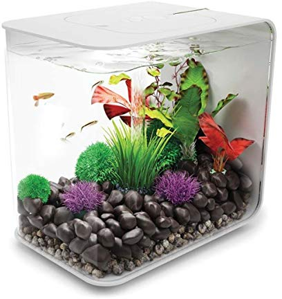 biOrb FLOW LED Aquarium - Aquarien Komplett-Set mit LED Beleuchtung und patentiertem Filter-System, Acryl-Becken