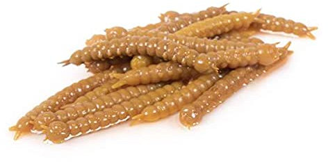 Libra Lures Slight Worm 3,8cm - Coffee Milk - 15Stück | Creaturebait