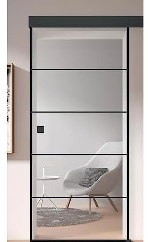 HORI® Glasschiebetür im Loft-Design Lofttür Industrial Design 2060 x 940 mm I DIN links/rechts verwendbar