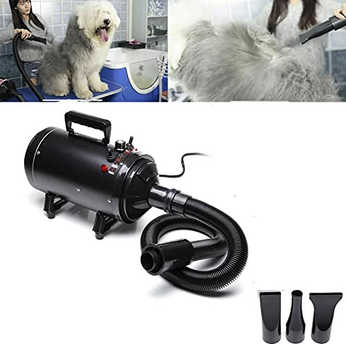 Cane Professionale Essiccatore 2800W, pulsore per cani silenzioso Velocità continua, 2 velocità, 2 temperatura: 35 ° c e 65 ° c, Soffiatore per cane pulsatore silenzioso per cane/gatto e altri, con 4