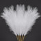 AFAMITOO Grande herbe de pampa artificielle blanche de 110 cm, 6 tiges, arrangement de fleurs artificielles pour vase de sol, décoration d'intérieur et de chambre, fête de mariage