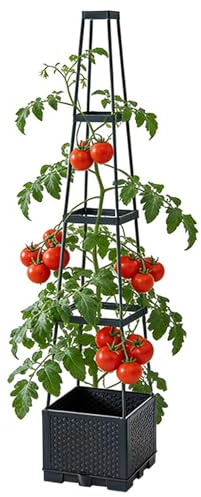 Temeemeg Macetero de Tomate con Enrejado, jaulas de Tomate con riego automático de 4 Niveles, macetero de plástico de 46, 5 Pulgadas para Plantas trepadoras al Aire Libre