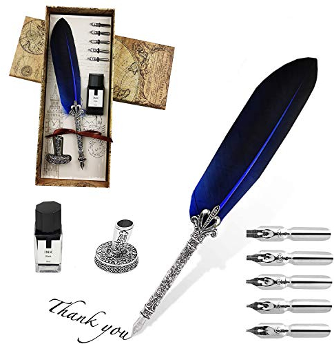 Stylo Dip à Plume, Plume d'oie à Encre, Set de Calligraphie Vintage avec avec 5 Plumes de Rechange, Encre, Porte-stylo (bleu)