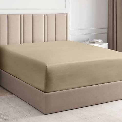 Spannbettlaken 140x200cm aus 100% Baumwolle - Bettlaken 140x200 für Matratzen bis zu 40 cm Höhe - Premium Bettwäsche aus 400 Fadenzahl Baumwolle - Einzelpackung Spannbetttuch 140x200 - Creme