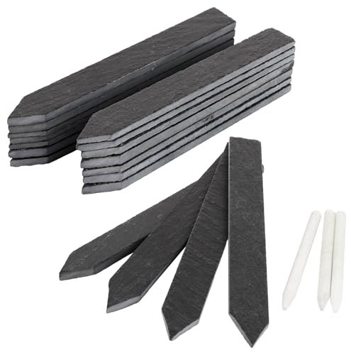 SHUESS 30er Set Kräuterschilder Pflanzenschilder wetterfest aus Schiefer (15x2 cm) – wiederverwendbare Pflanzenstecker für Kräuter, Gemüse & Blumen – langlebige Pflanzschilder für draussen wetterfest