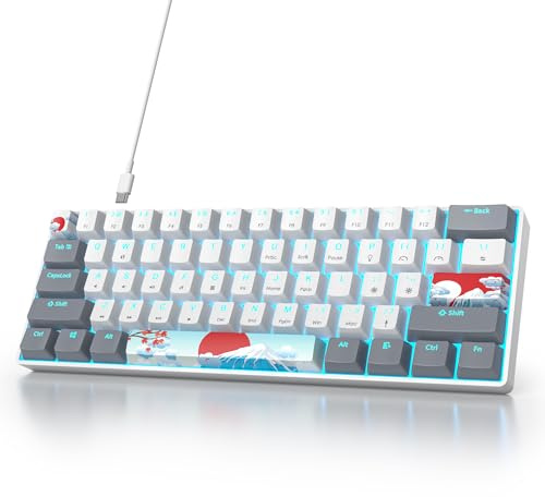Ussixchare 60 Percent Gaming Keyboard 61 Keys Wired Mechanical Keyboard Ultra Compact Key Board Red Switch LED Backlit for Windows Laptop Gamer(61Huibai)
